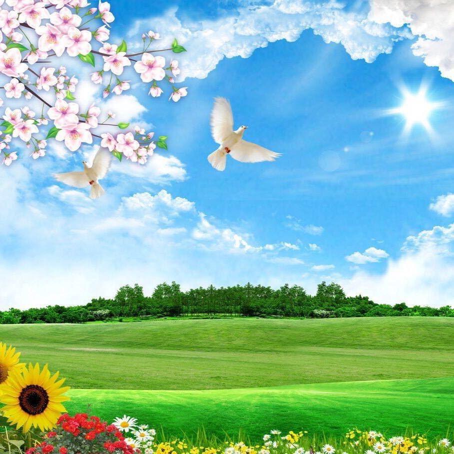 不言语，却知心