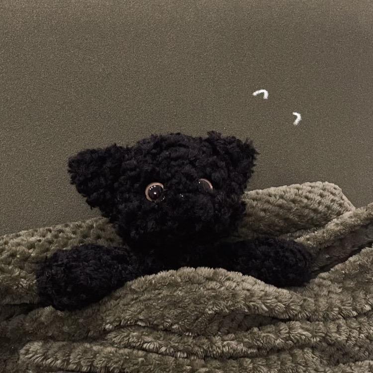 Zz_宇🐈‍⬛