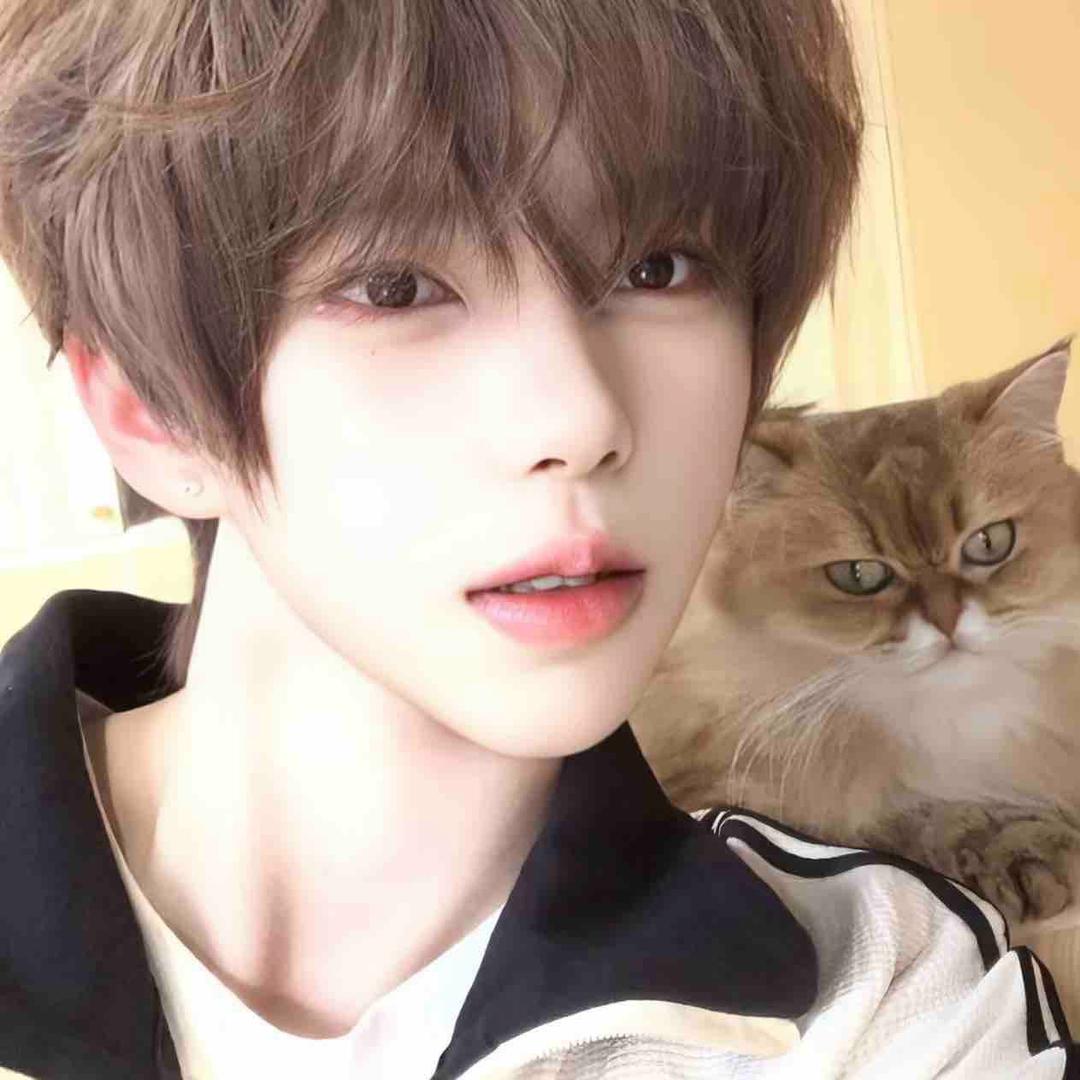 ㅤㅤㅤㅤㅤㅤㅤㅤ