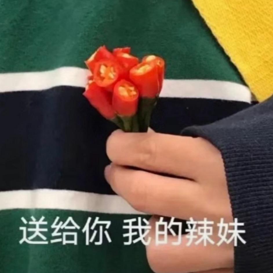只想搞钱.