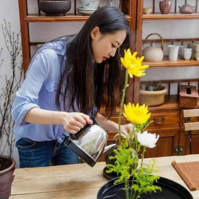 一叶飘乡茶叶店
