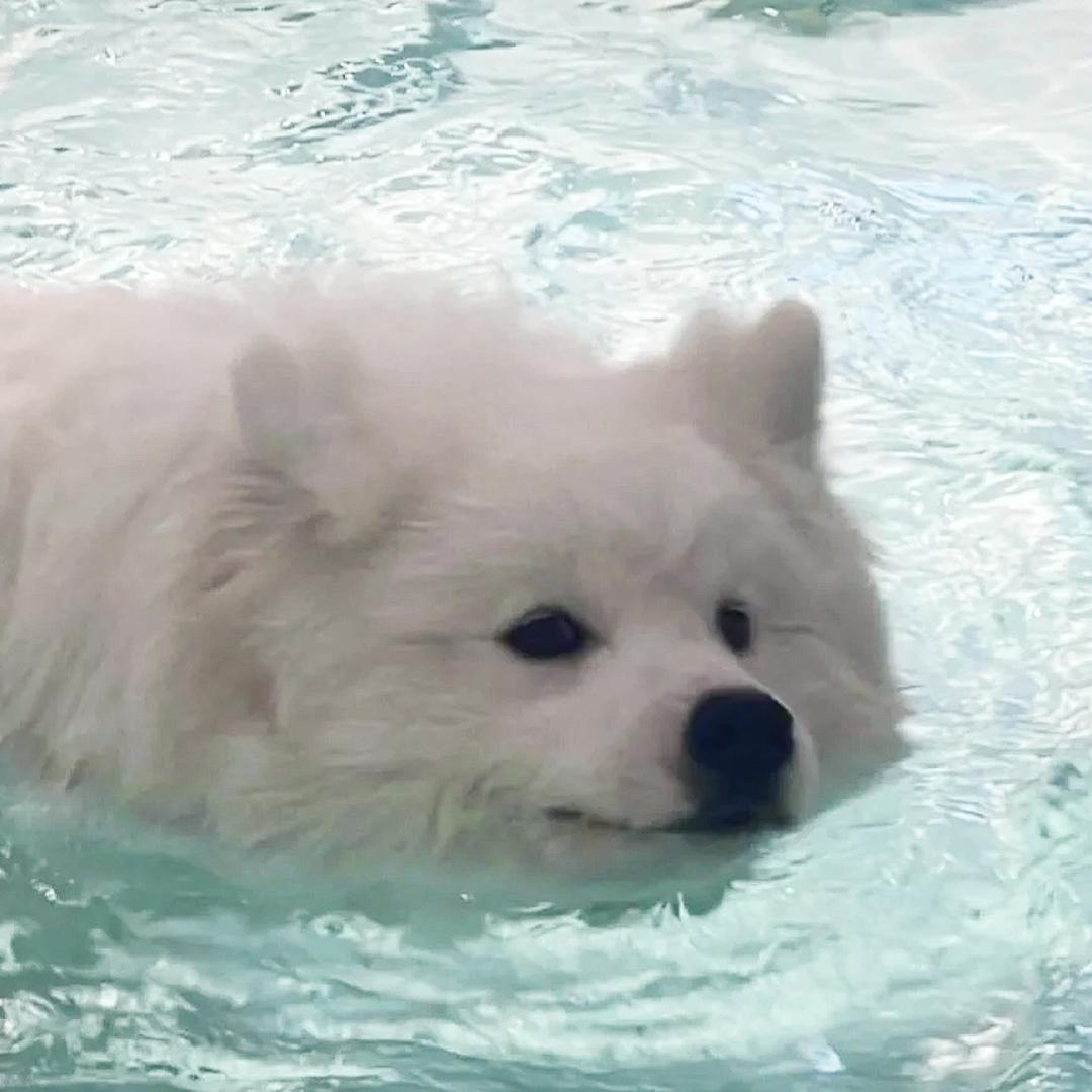 盐溜蔺淋