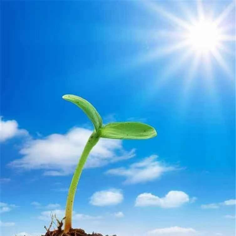 好运呼呼