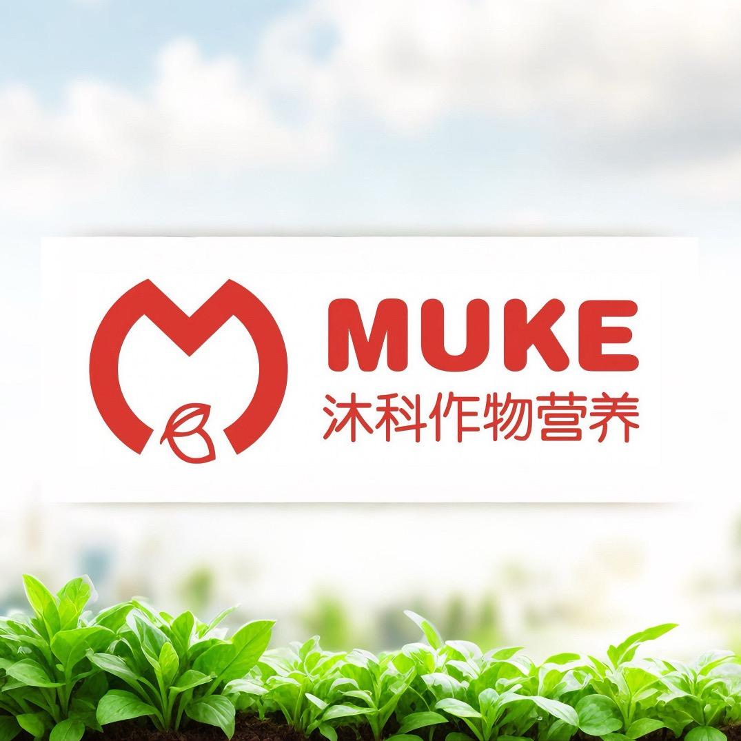 沐科传媒（招团队）