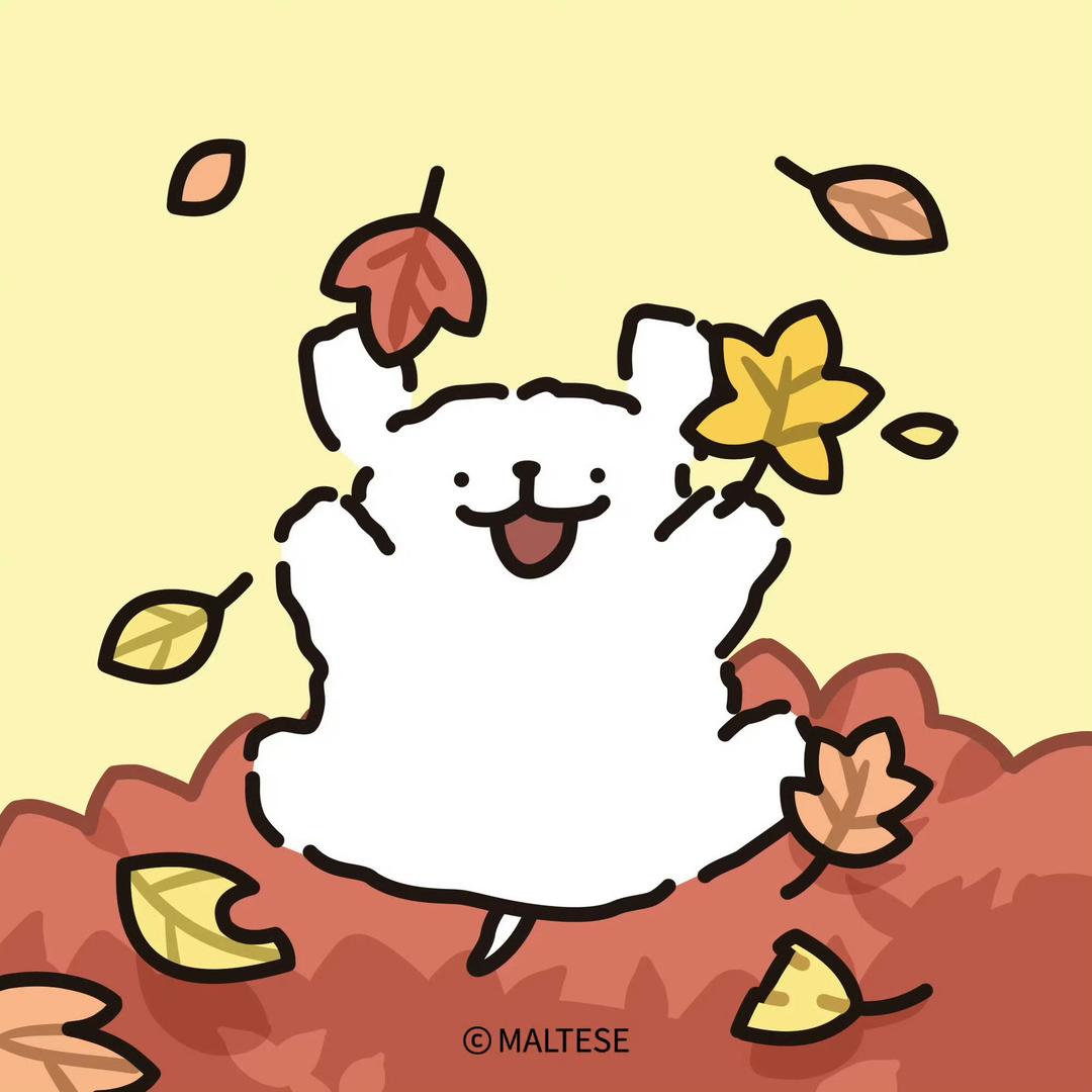 还是豆奶吧