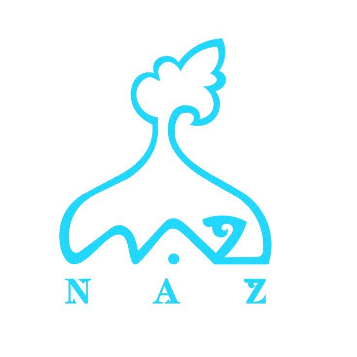 NAZ进口购物