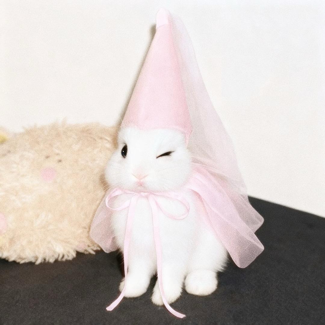 冬日🫧