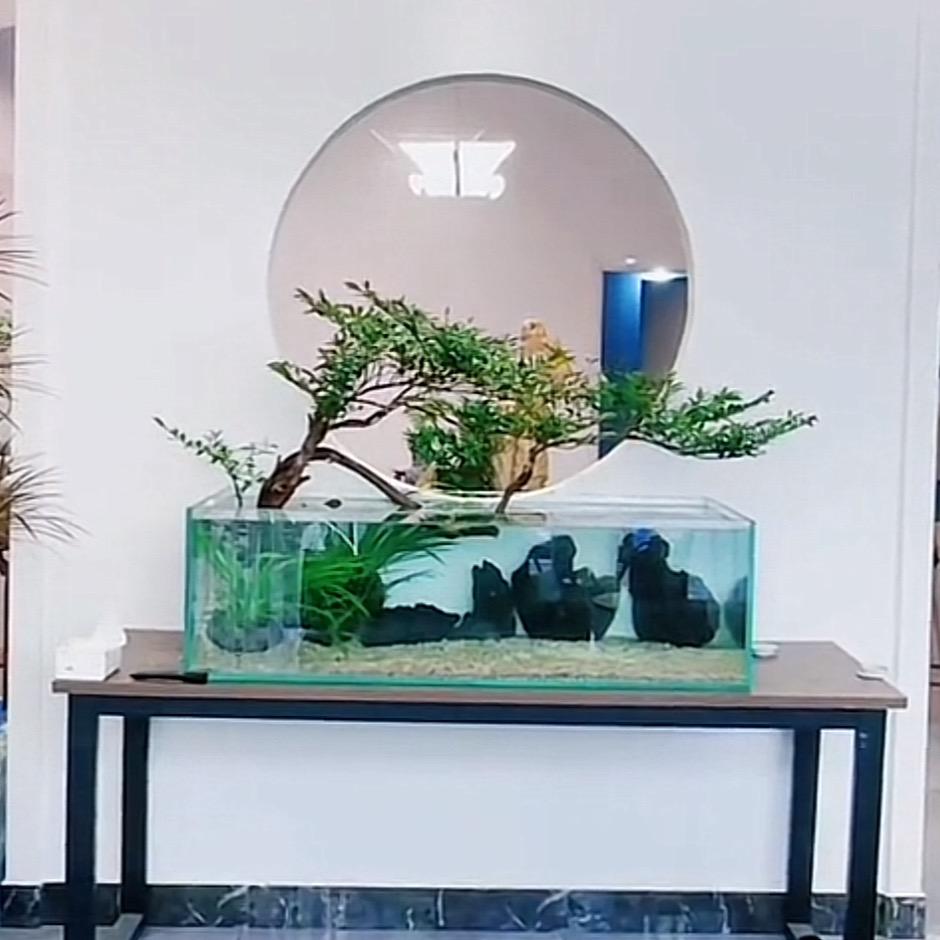溪流缸原生造景室内造景#古树茶#竹艺文玩