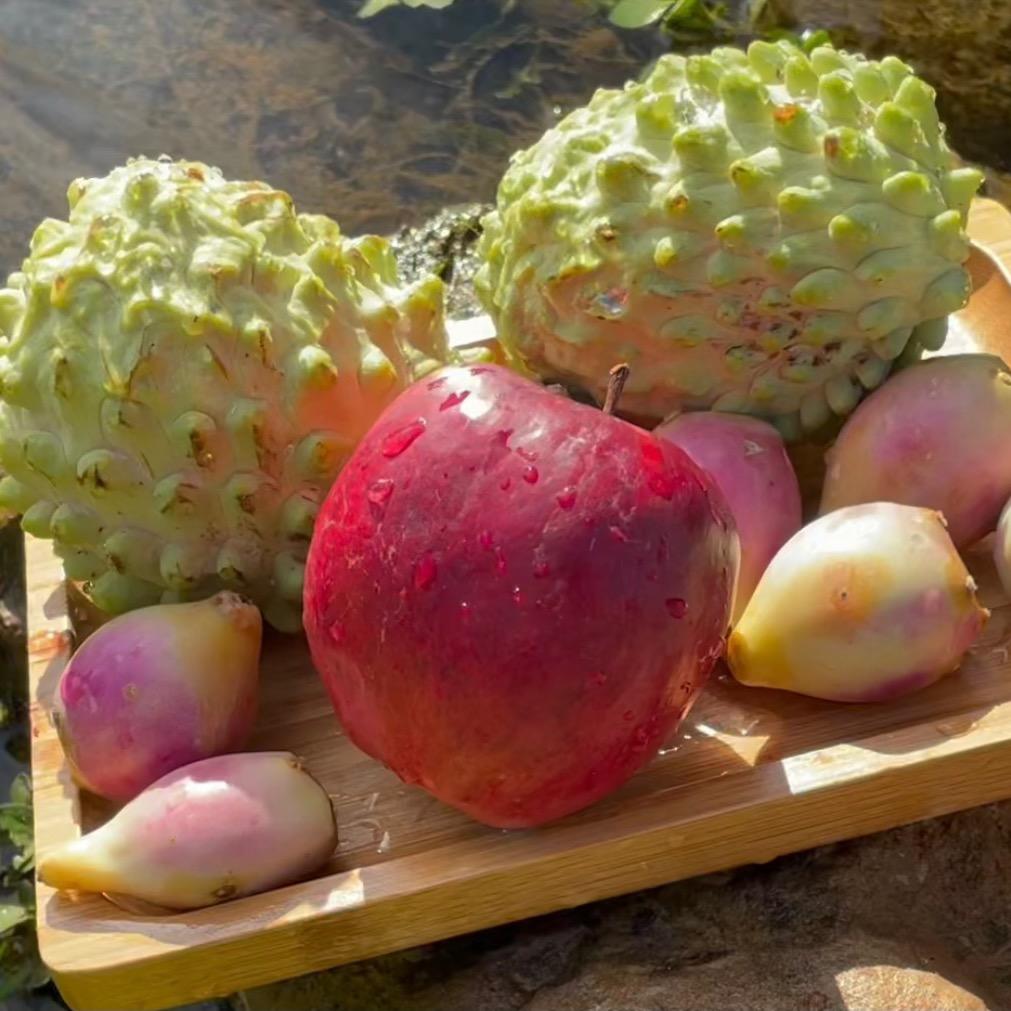 辰鑫鲜果