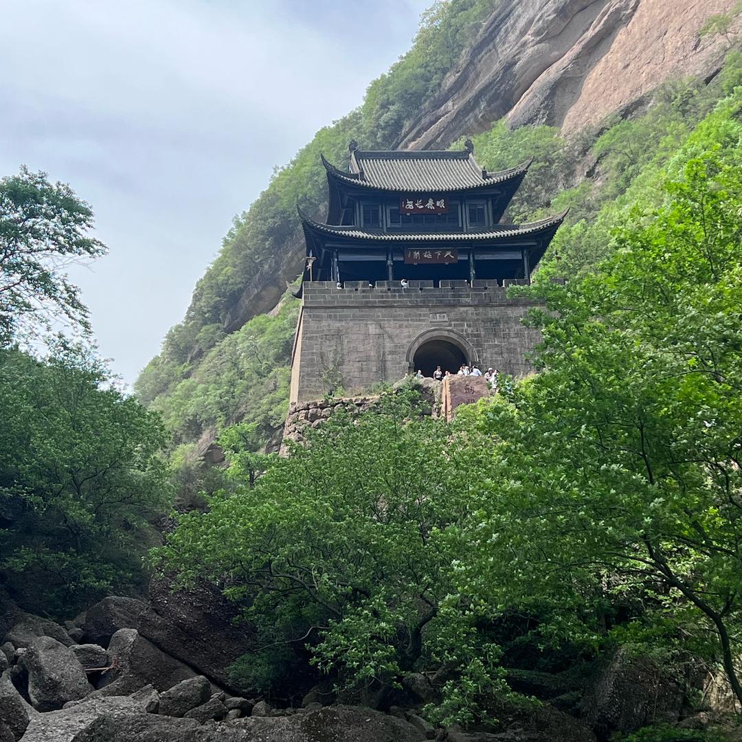 三秋叶。