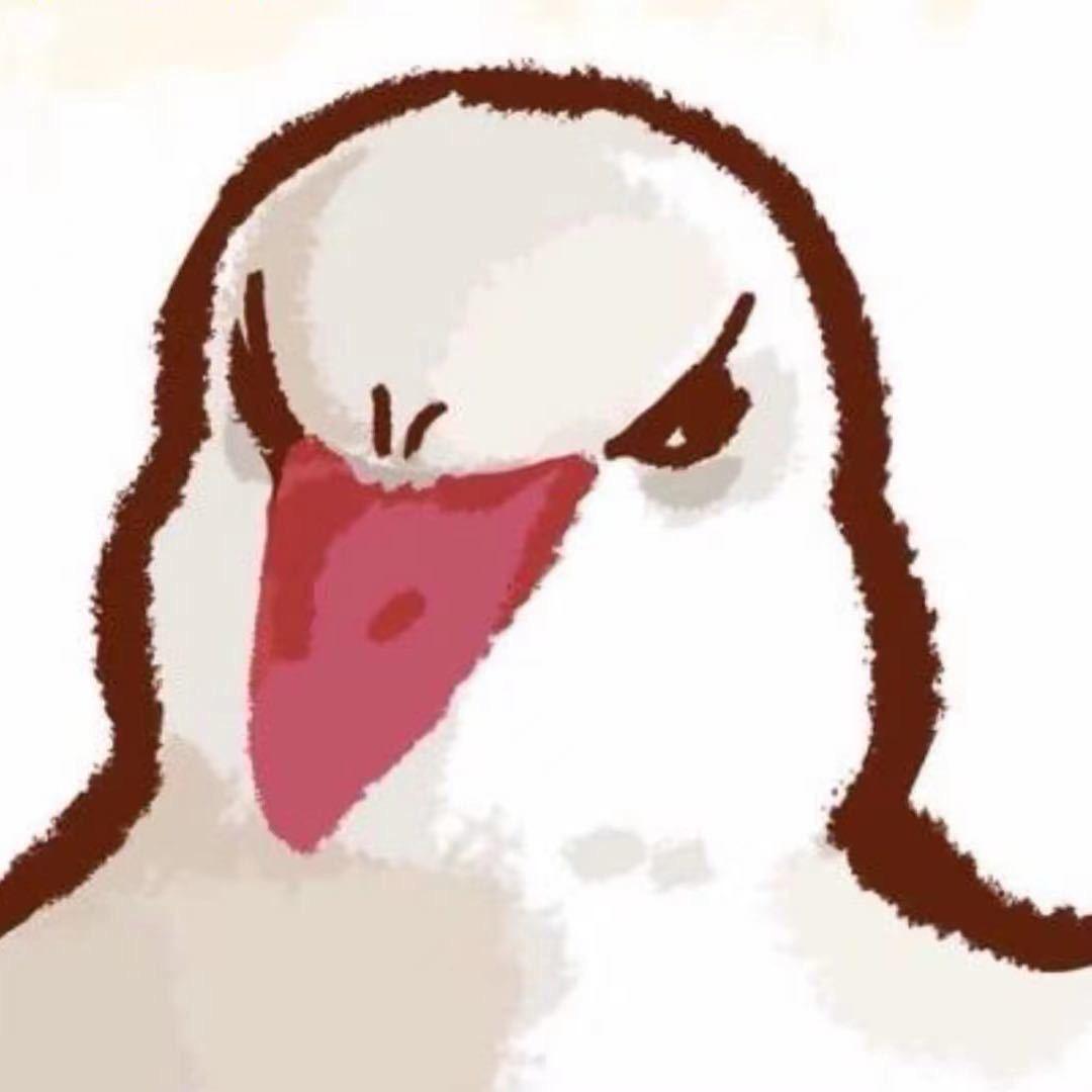 经贸派派磊小弟