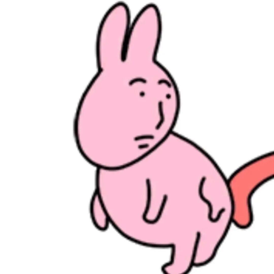小鑫oᴗO