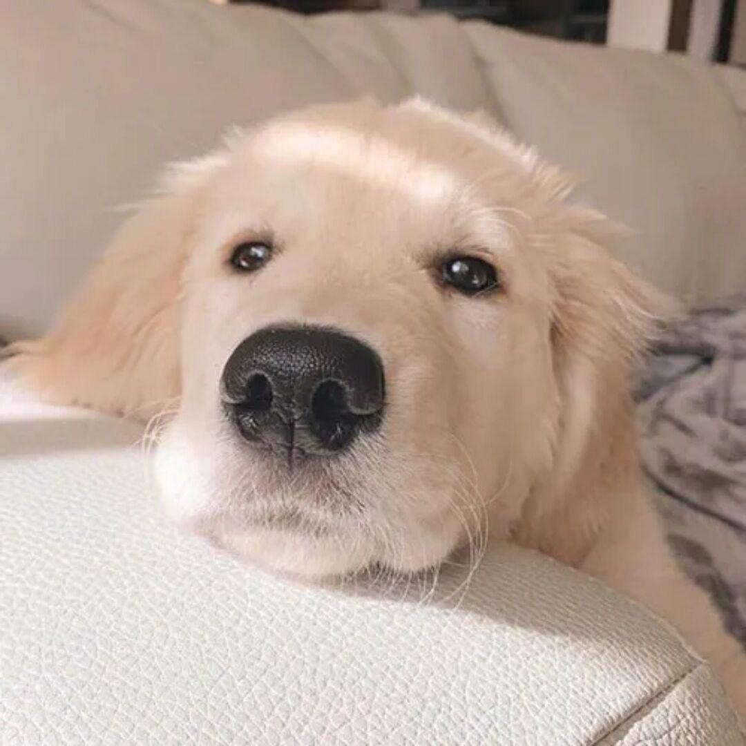 Riley