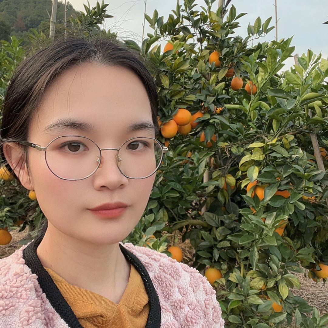 锦湖果园赣南脐橙