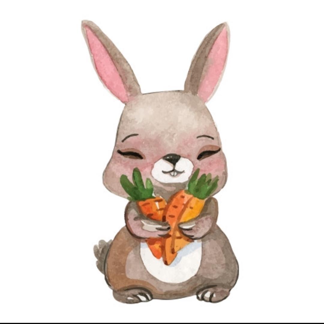 婷哥.