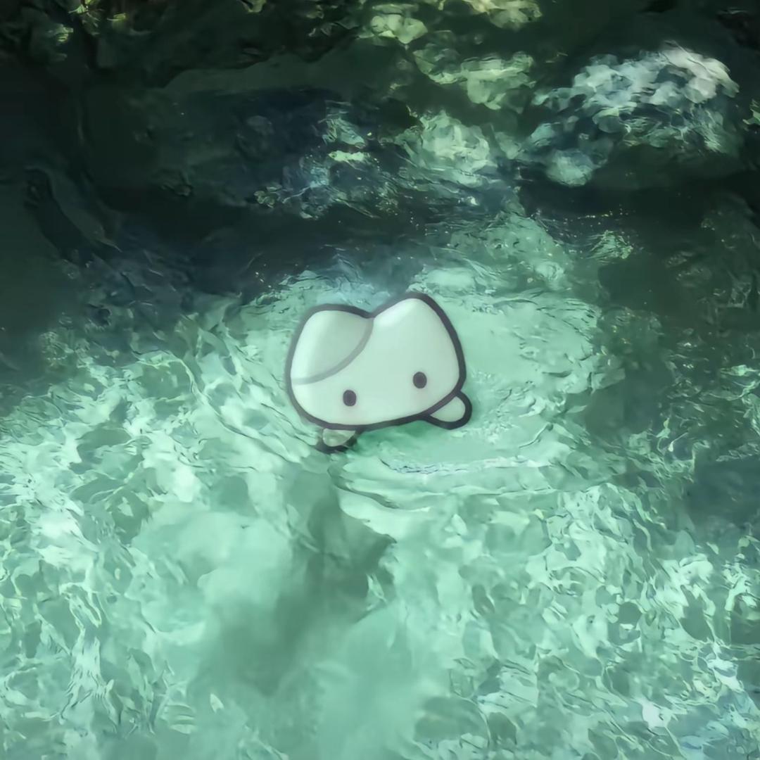 离开我谁还给你当狗