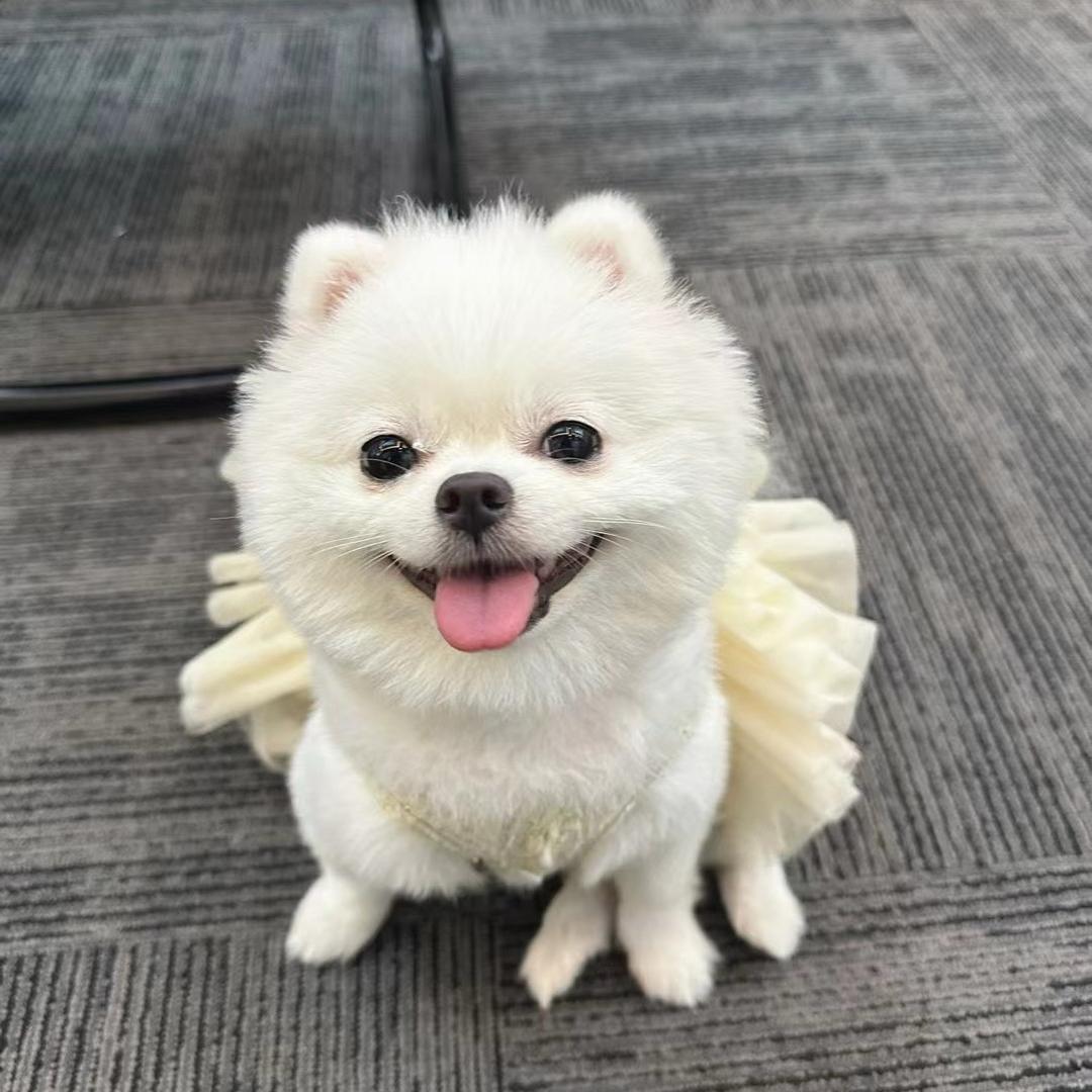 Cong