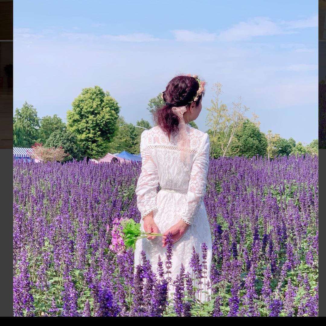 蔷薇🌸