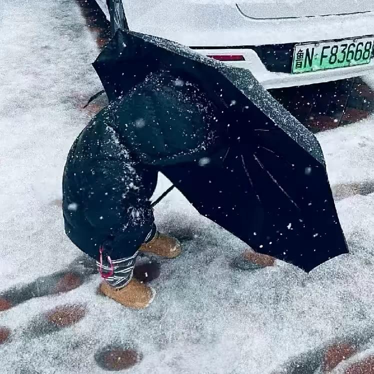 赏金女王