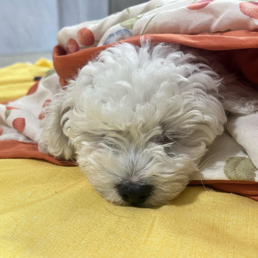 郑 墩墩健康开心