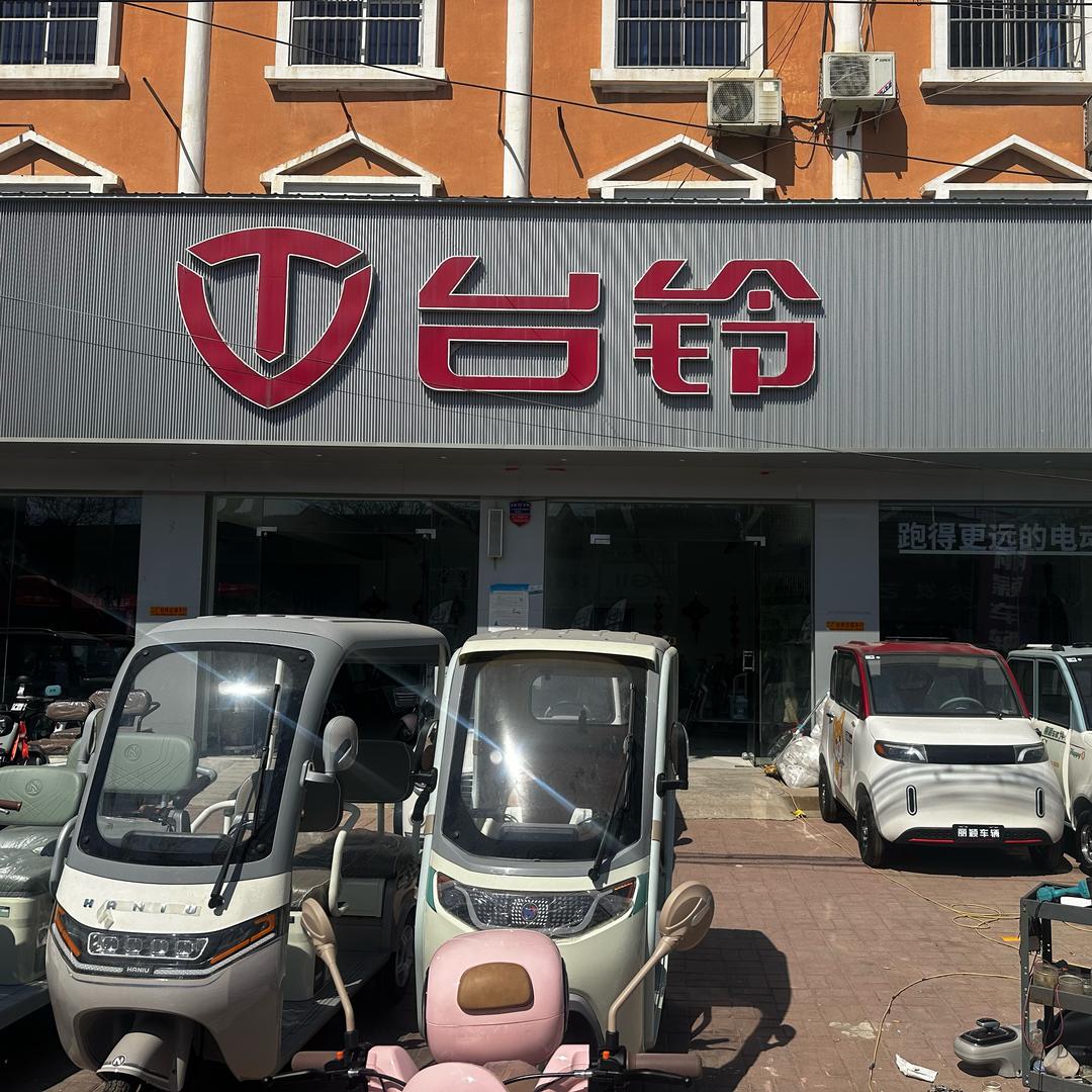 丽颖电动厂家直销