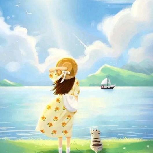 ✨风吹半夏✨