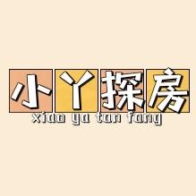 董哥说房现房栏目（小丫探房）