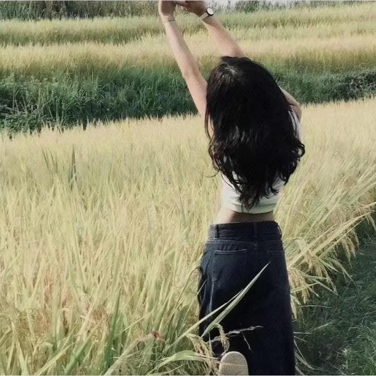 小春风