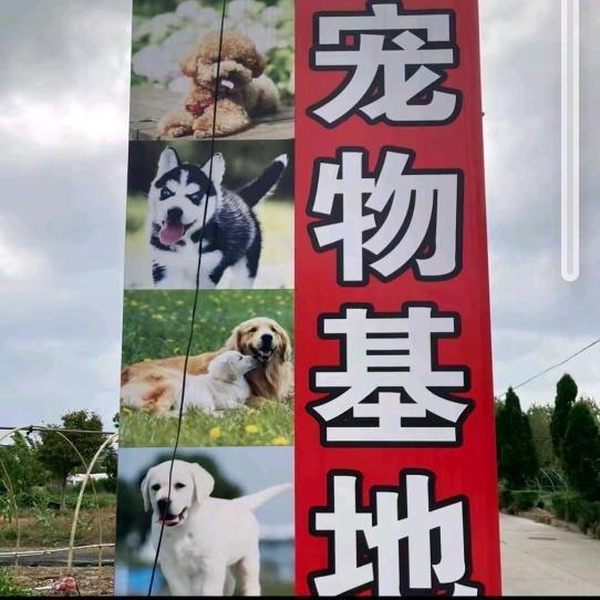 💞ℒᎭ上海宠物基地💕⁵²º࿐