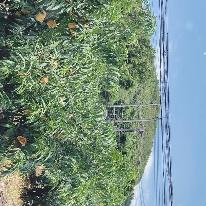 用户7282040826384