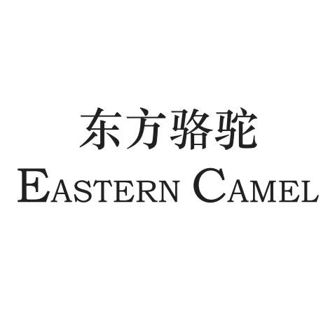 EASTERN CAMEL若琳女鞋店