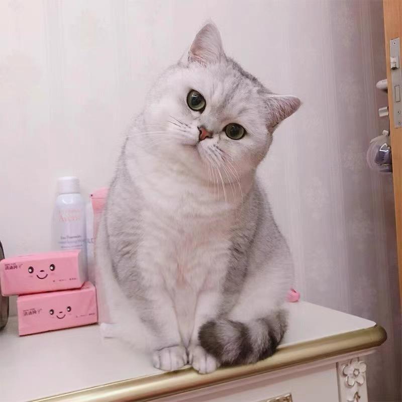 桃凌汐（桃子）
