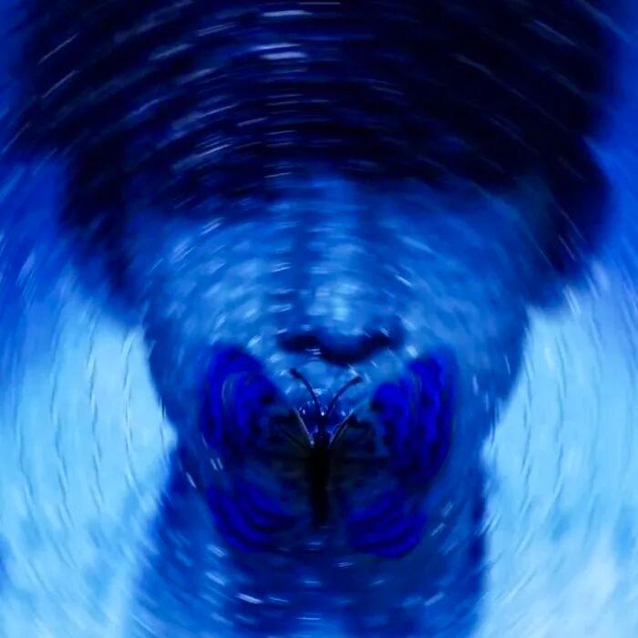 帅死你