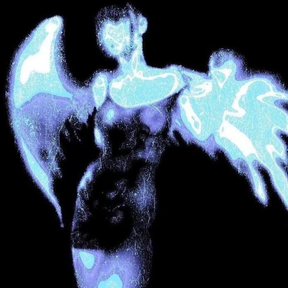 想养只鲨鱼🦈-