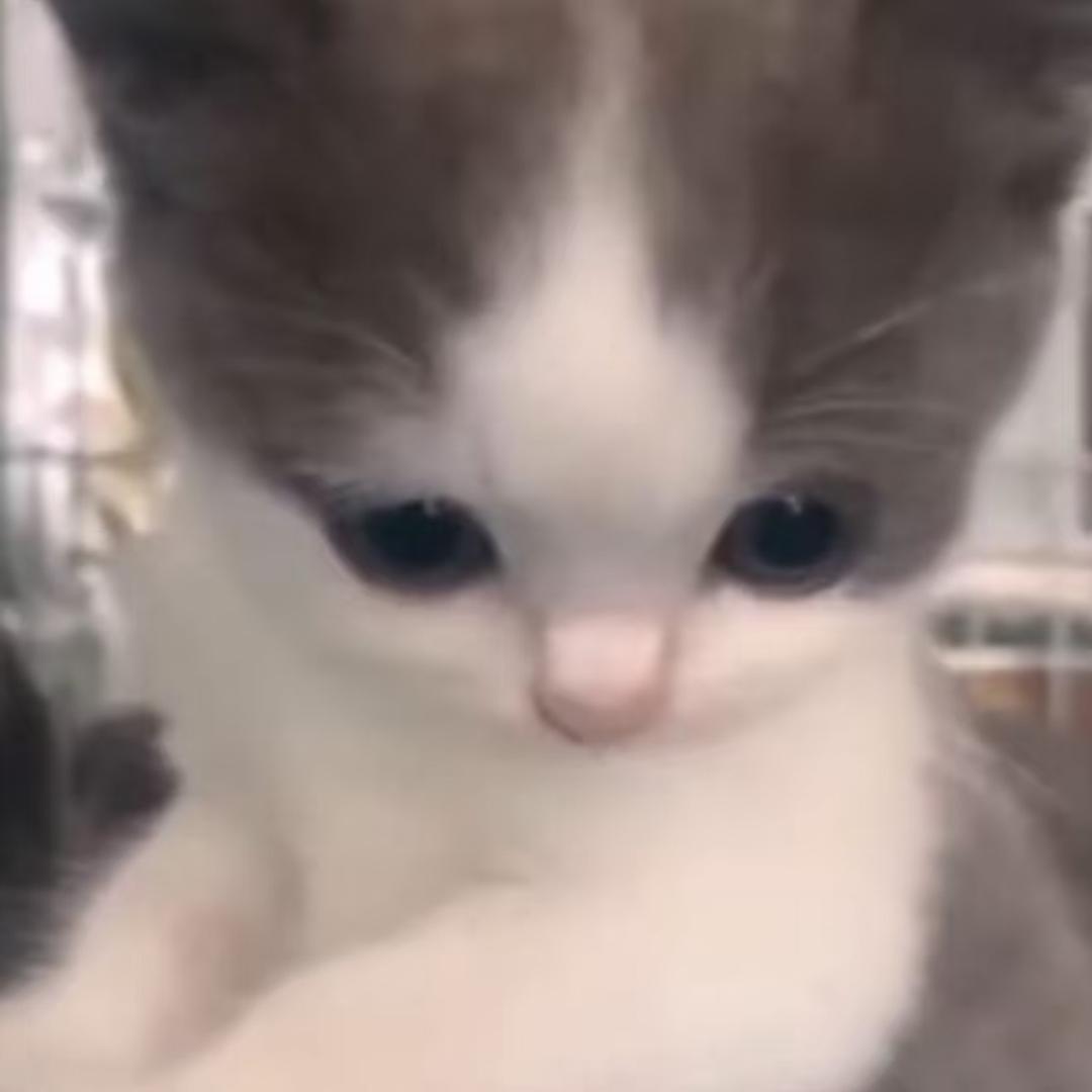 用户1288969874575