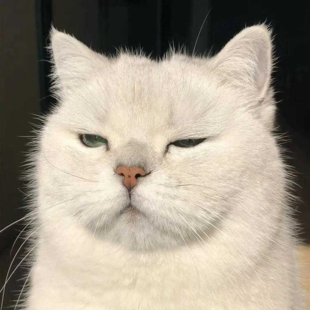 行程马