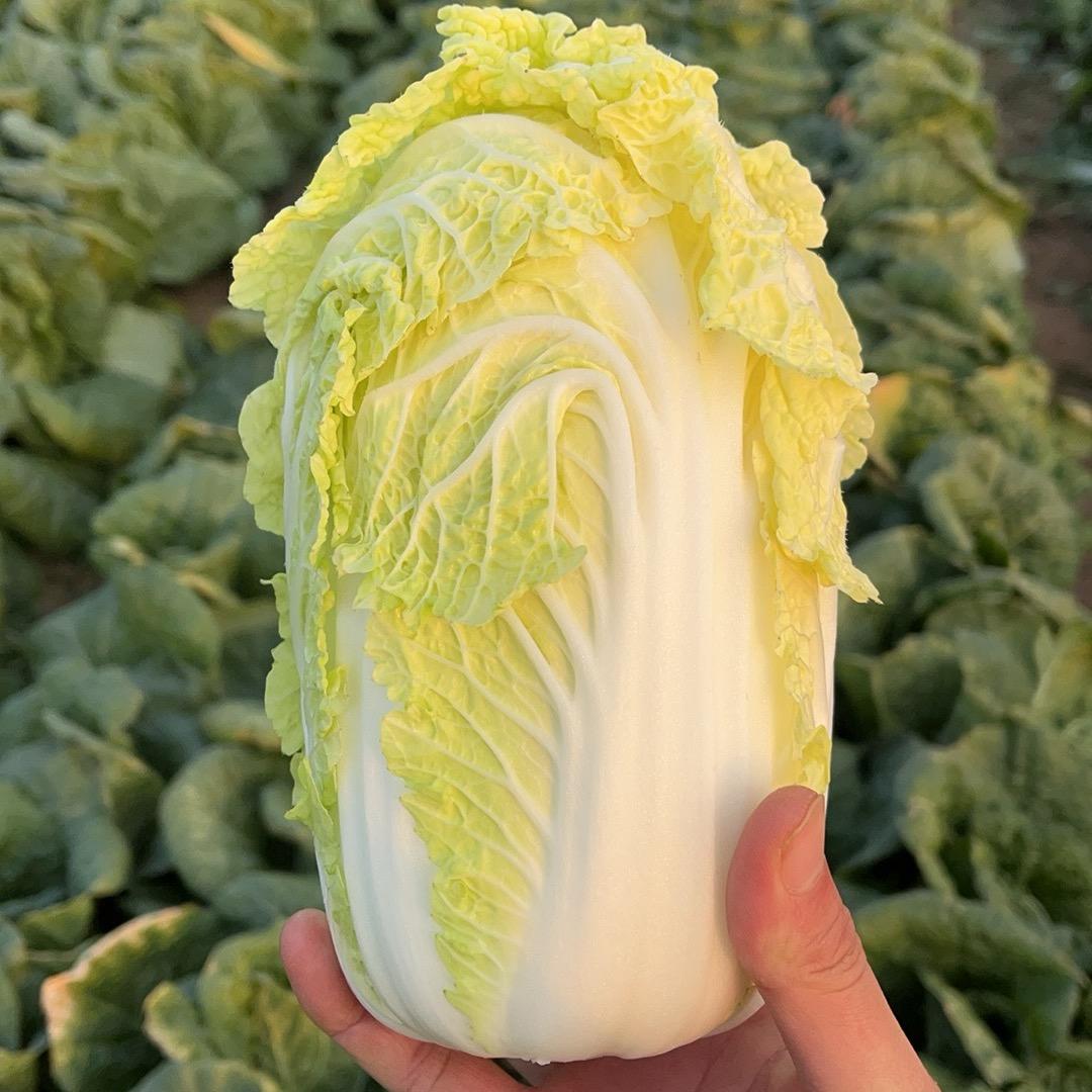 土生土长新农人