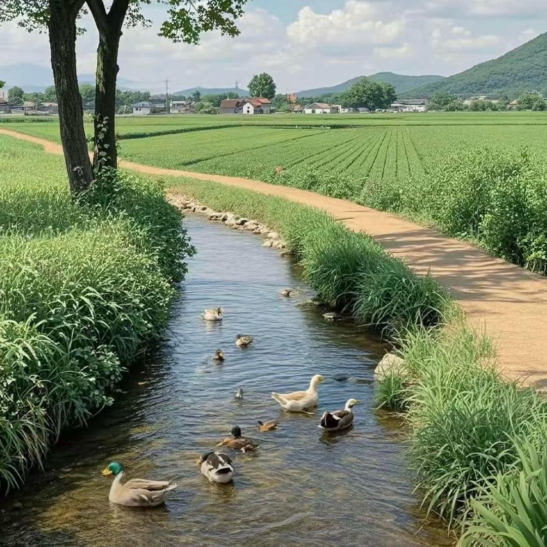 韩六叔小李哥（岑溪店）