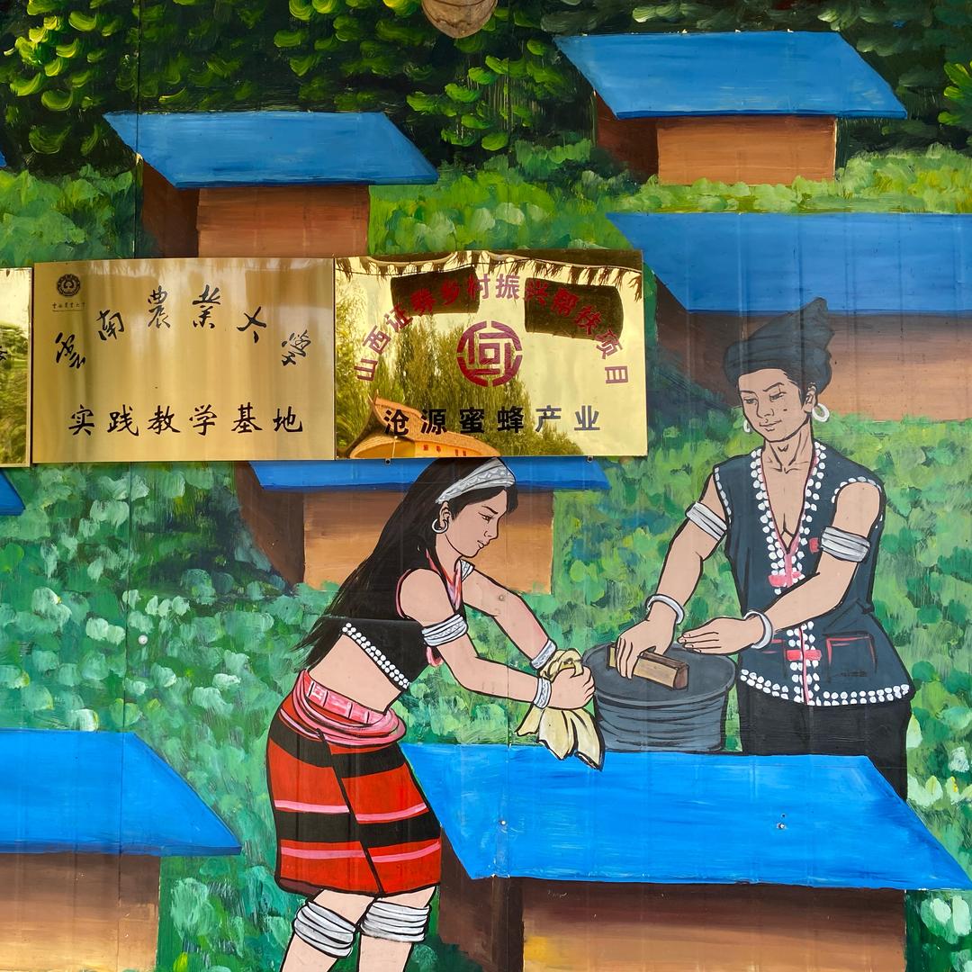 大山里的日子