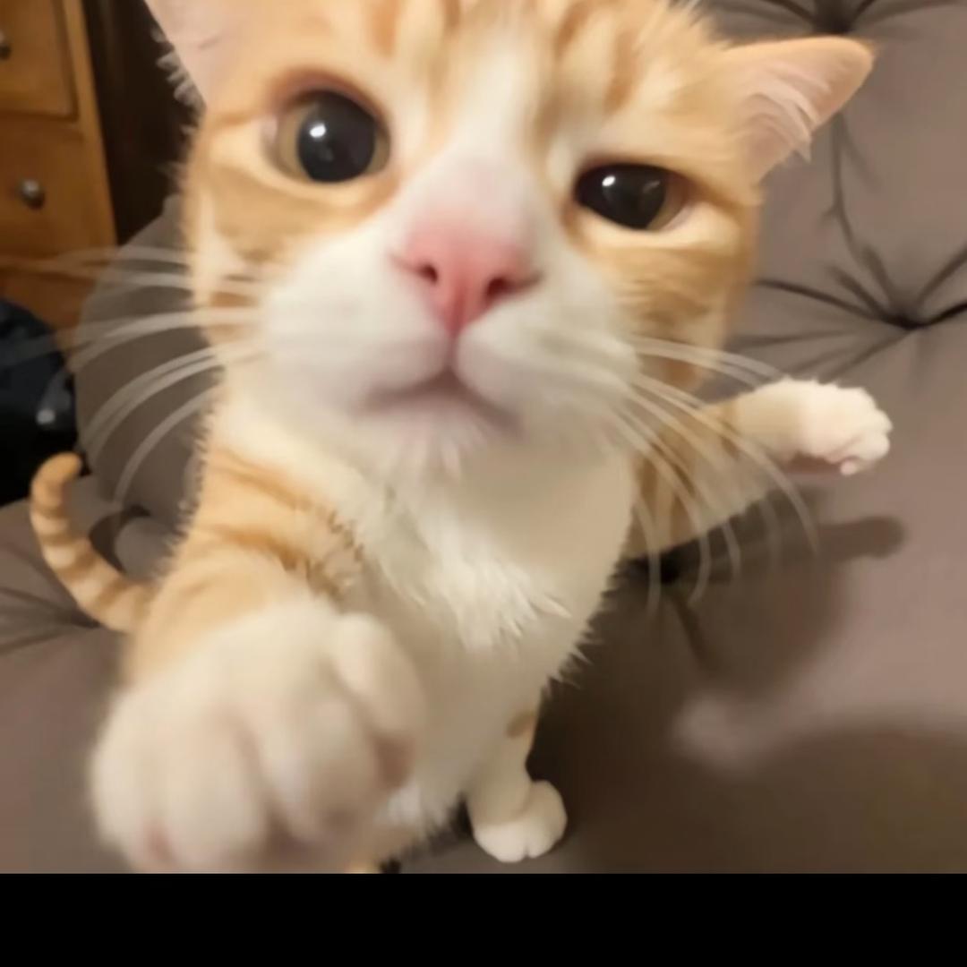 小红帽