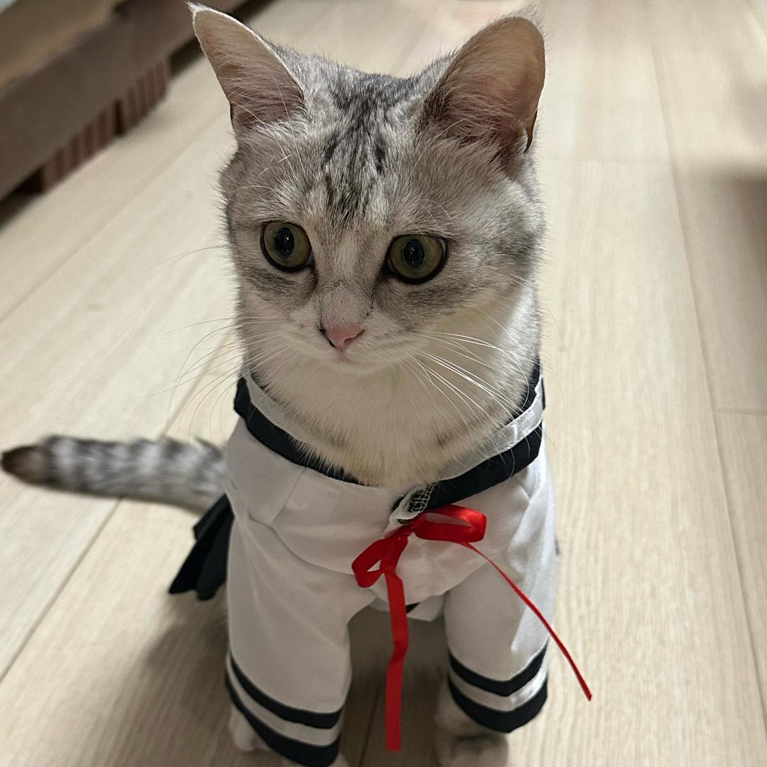 西极若木