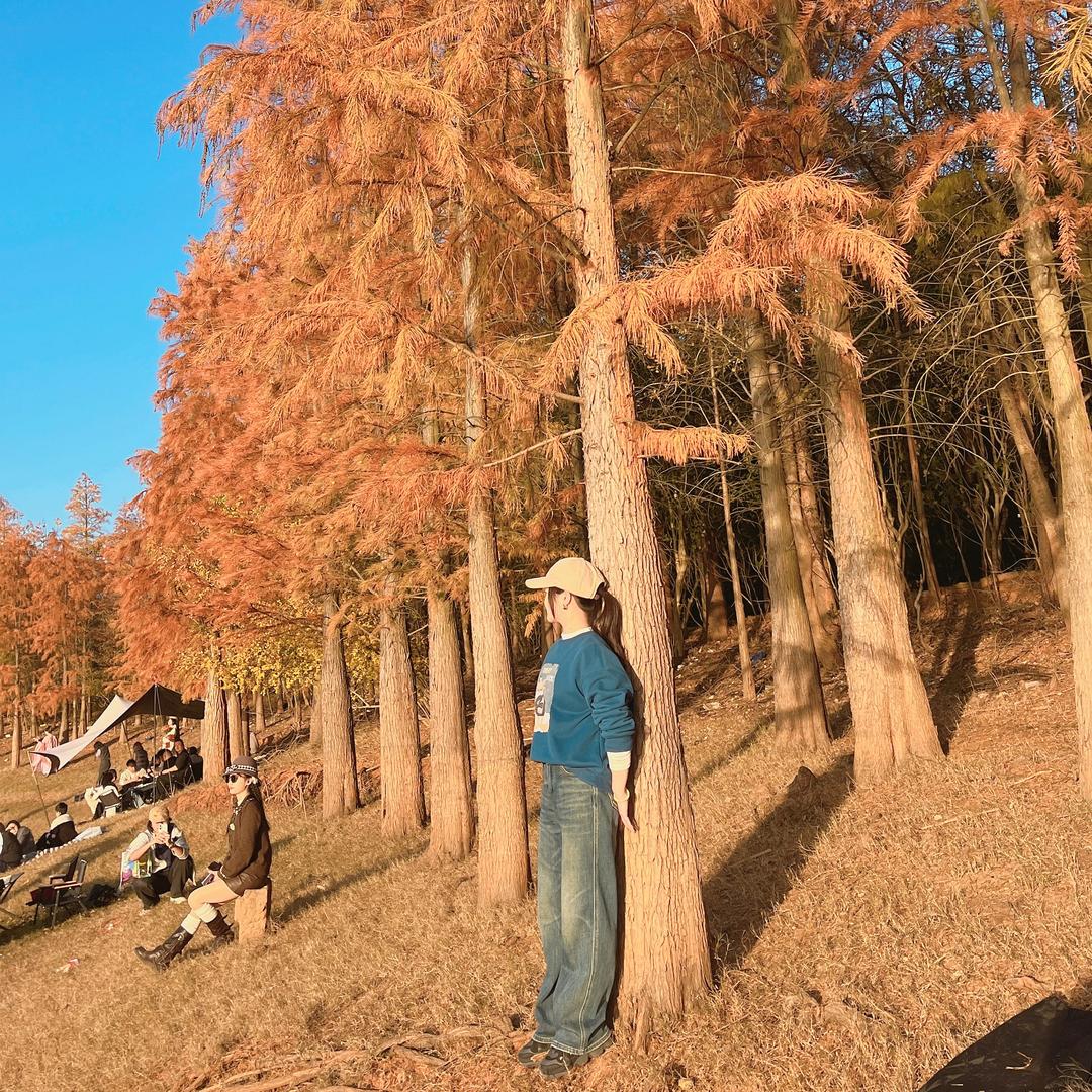 娄底金服-黄主任