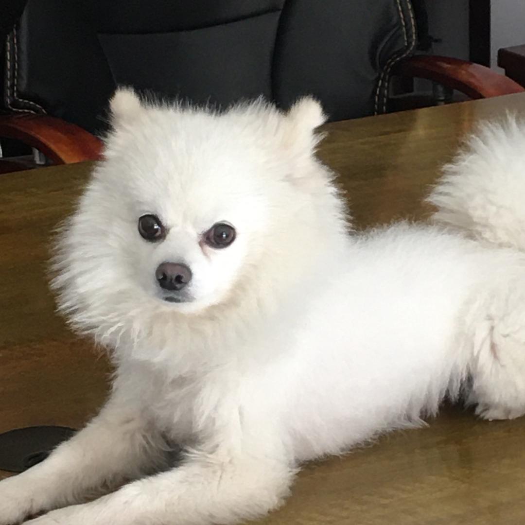李小群