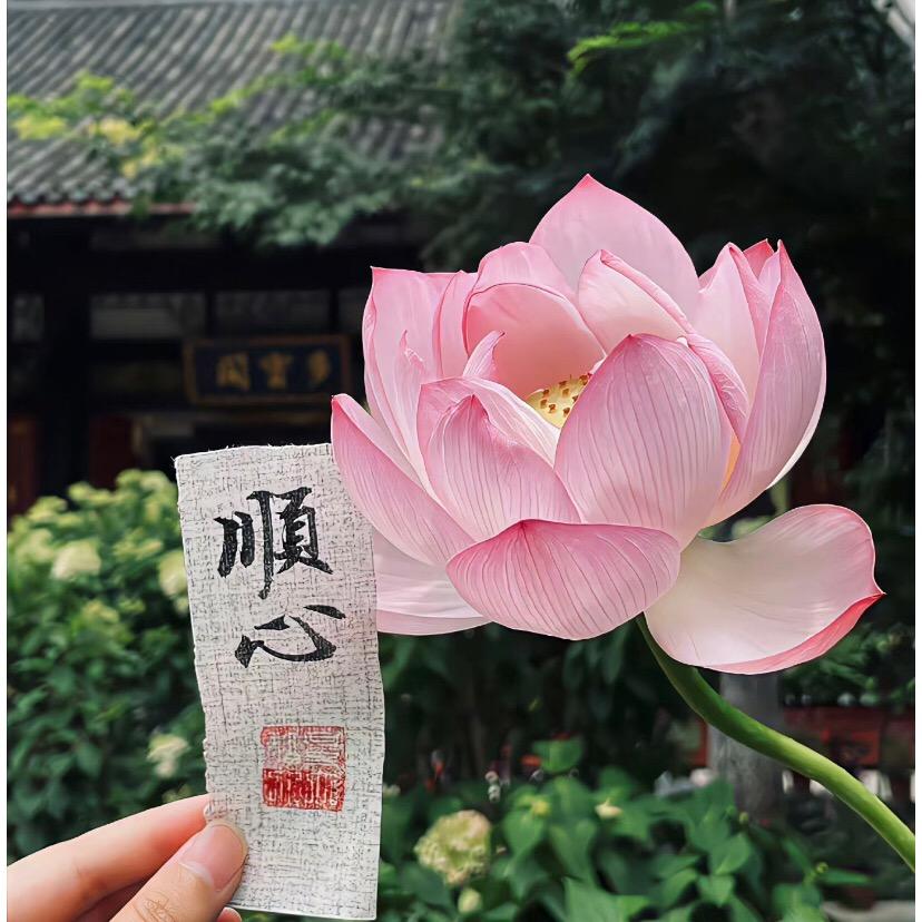 小雨转晴