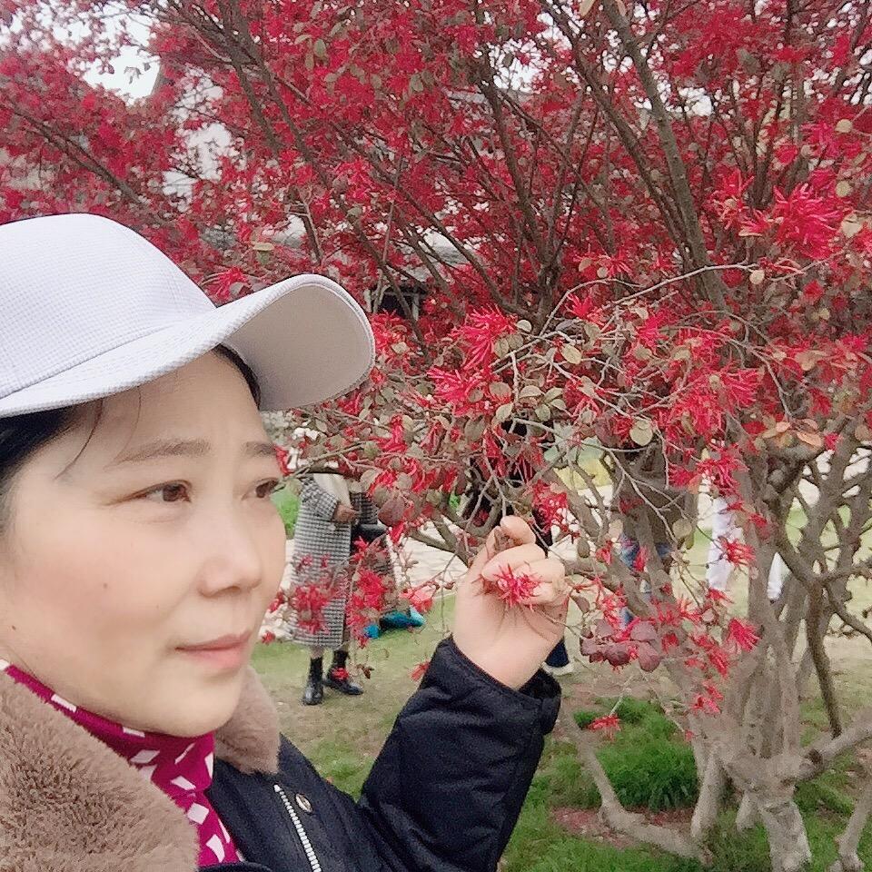 没人代替你走路