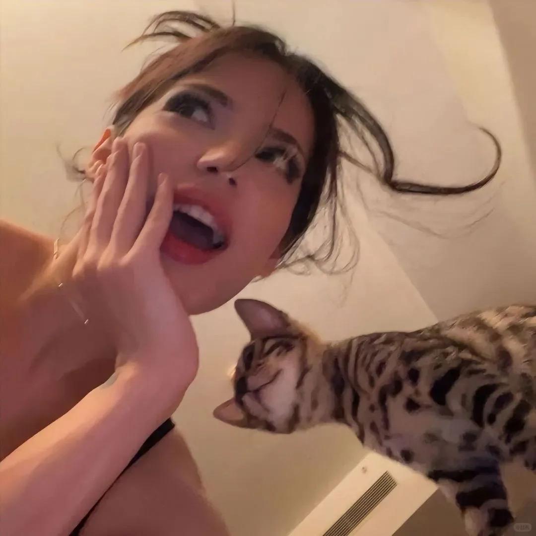 腓腓