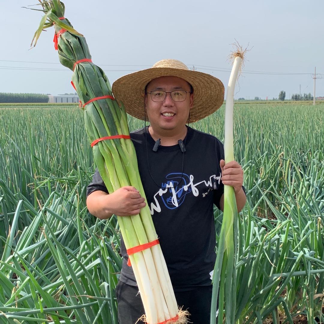 章丘大葱产地直发