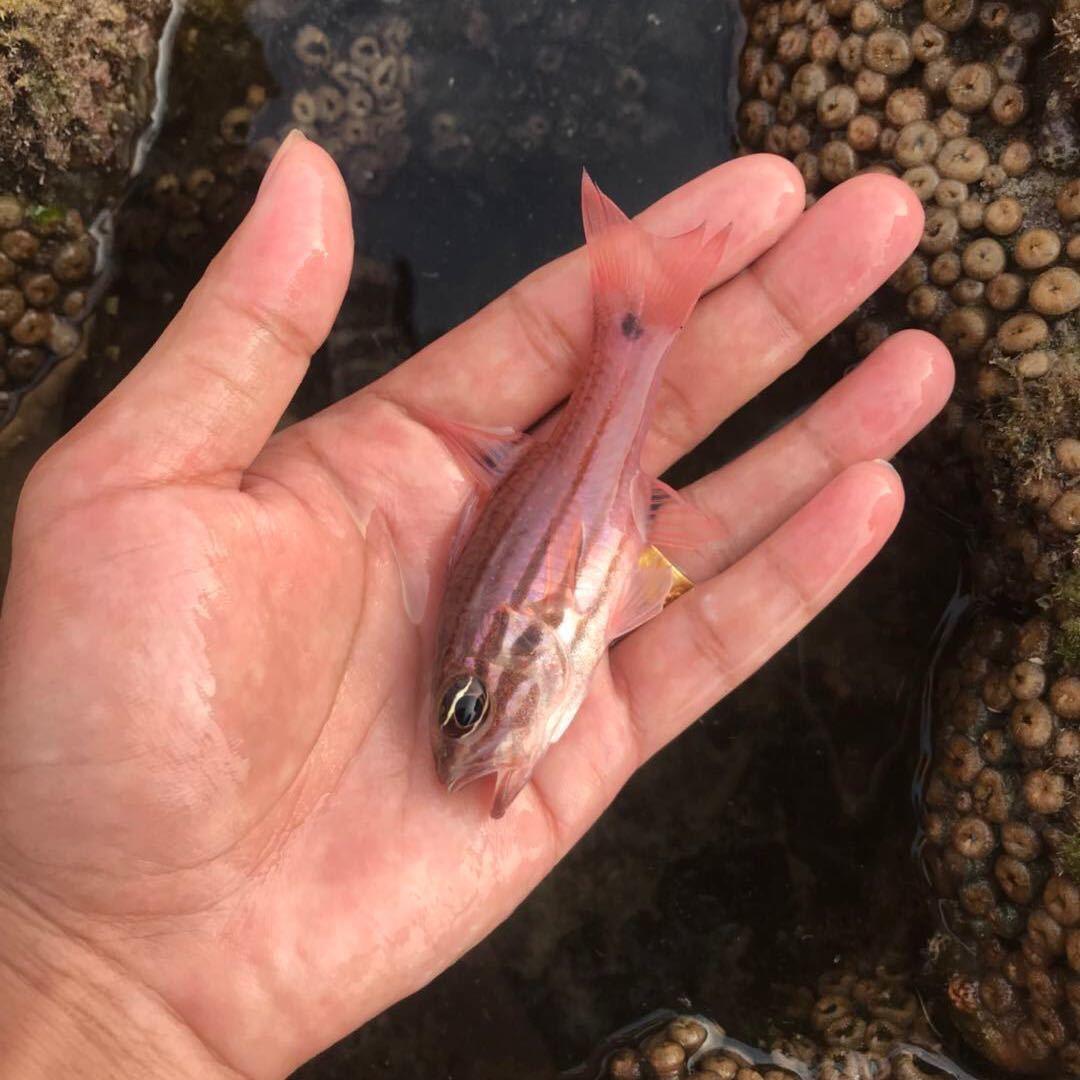 早睡早起