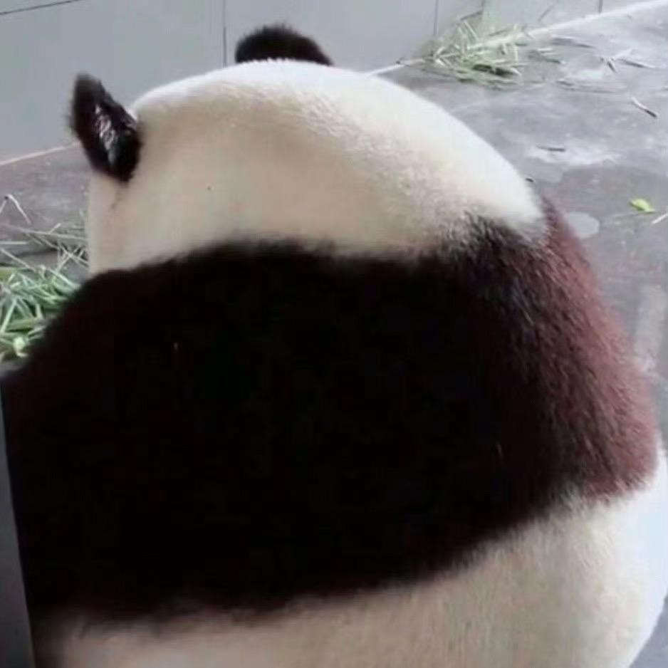 @彼能能
