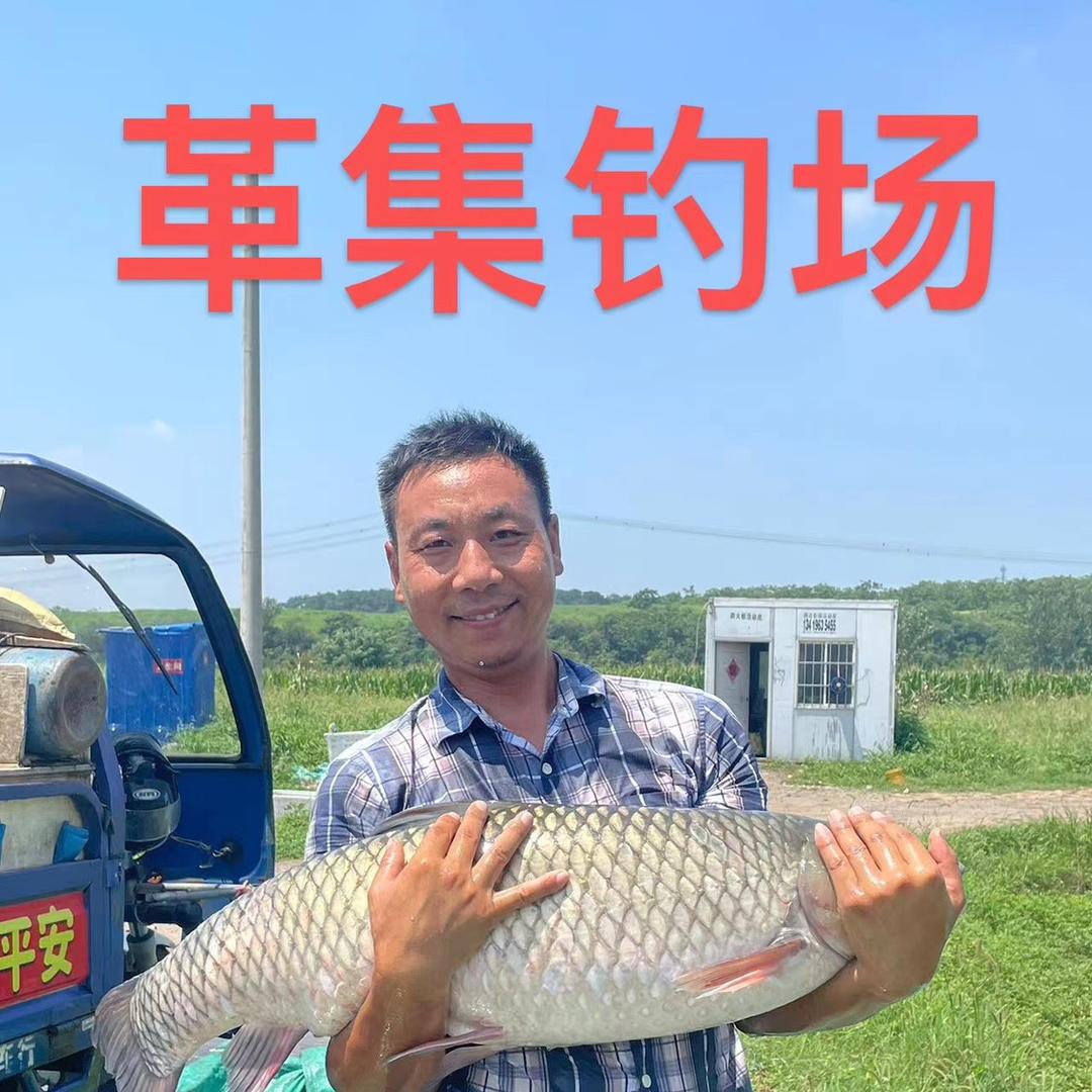 荆门 革集垂钓园  汪